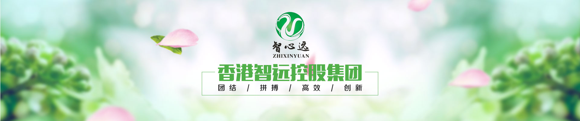 河南智心遠(yuǎn)商貿(mào)有限公司